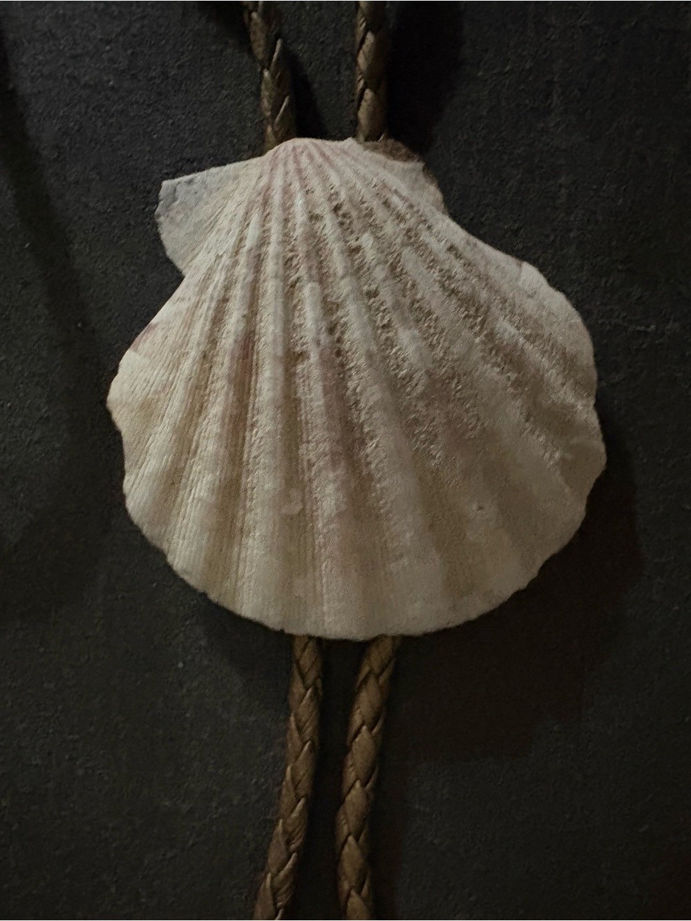 Seashell Pendant Necklace in Natural Cream